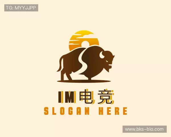 介绍im电竞