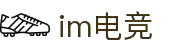 IM(股份有限公司)电竞-电子竞技平台